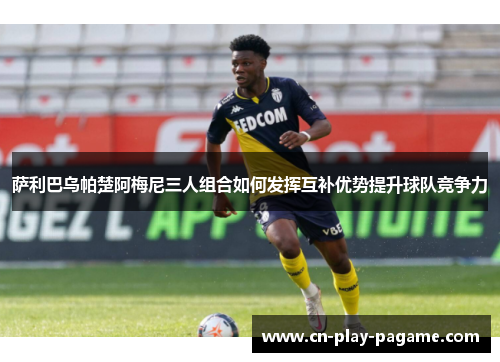 萨利巴乌帕楚阿梅尼三人组合如何发挥互补优势提升球队竞争力